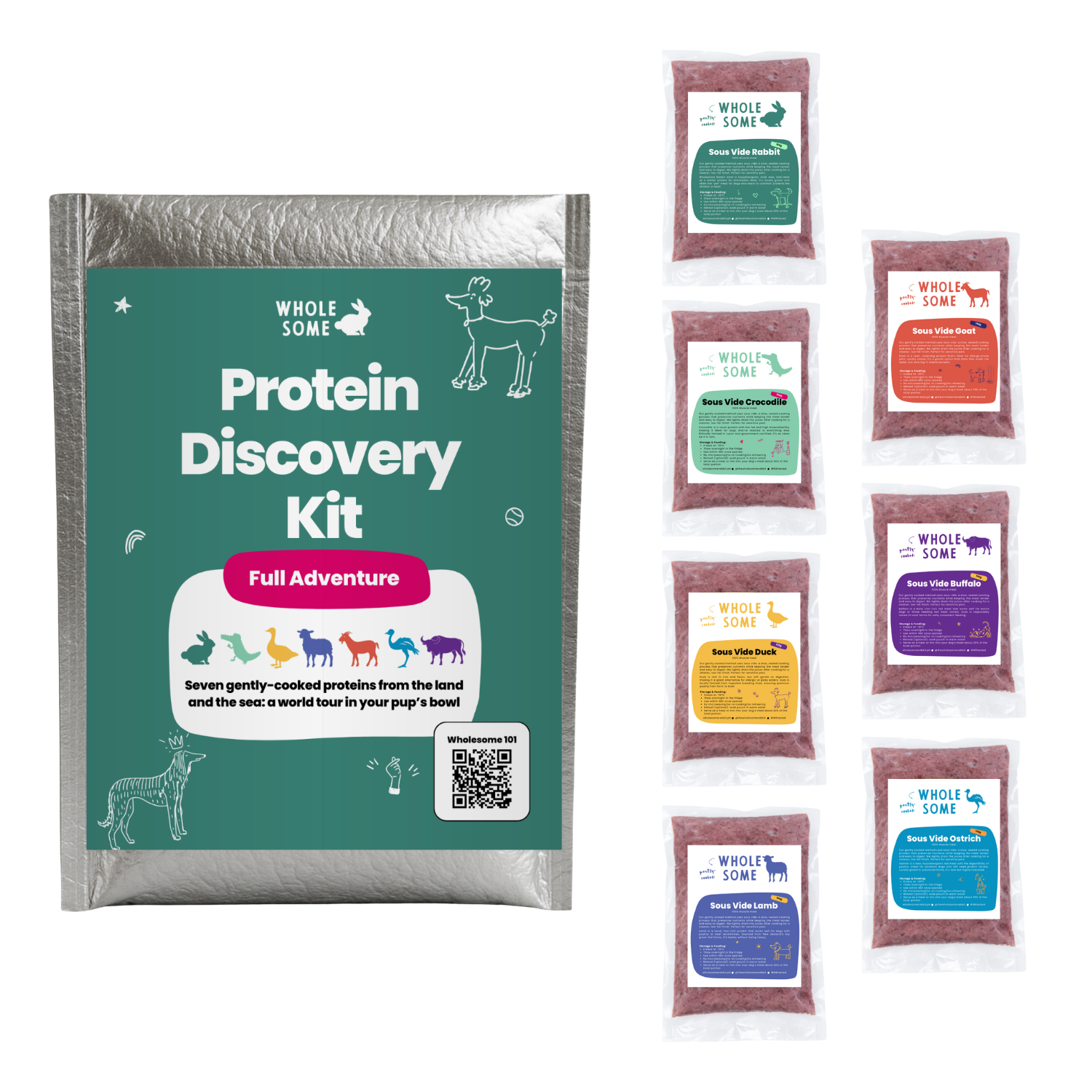 Bundles: Protein Discovery Kit
