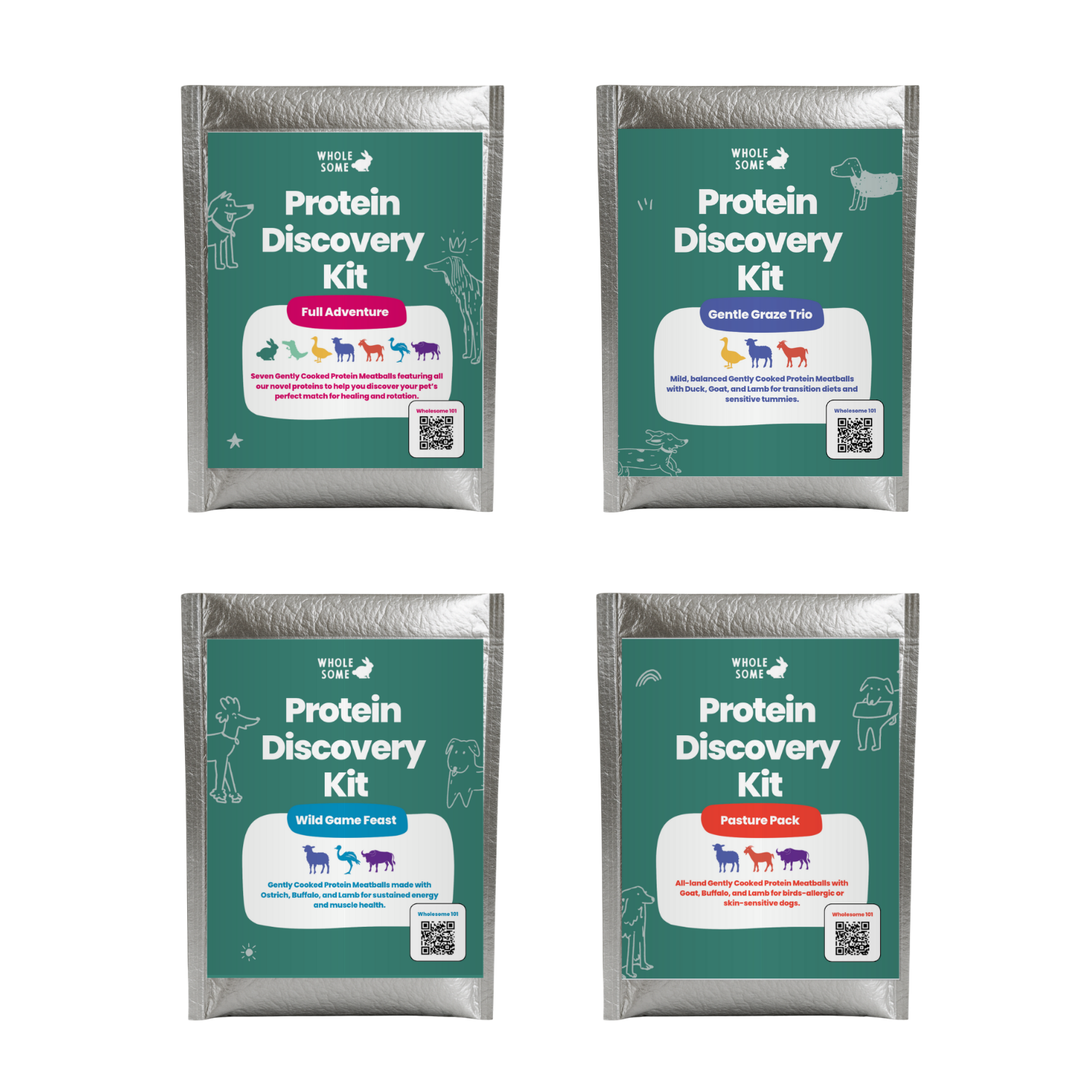 Protein Discovery Kit: Meatballs