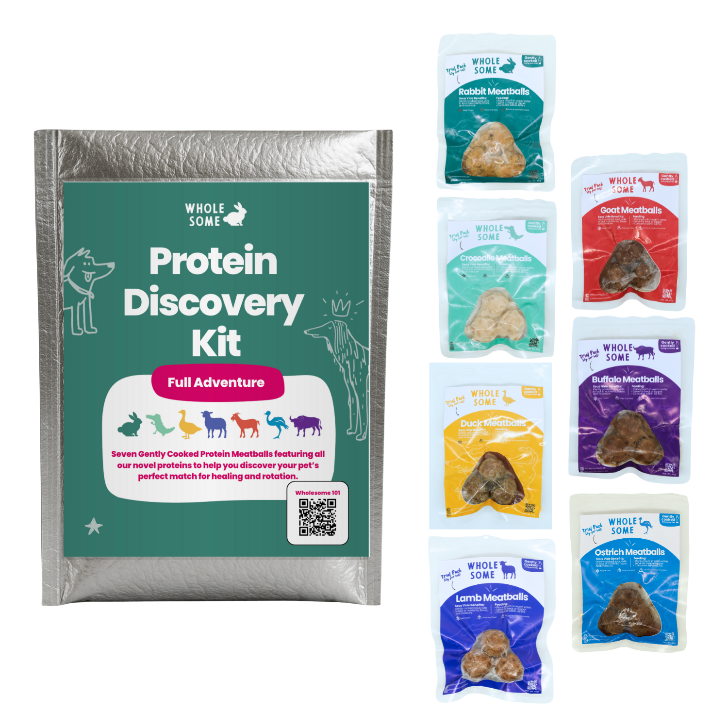 Protein Discovery Kit: Meatballs