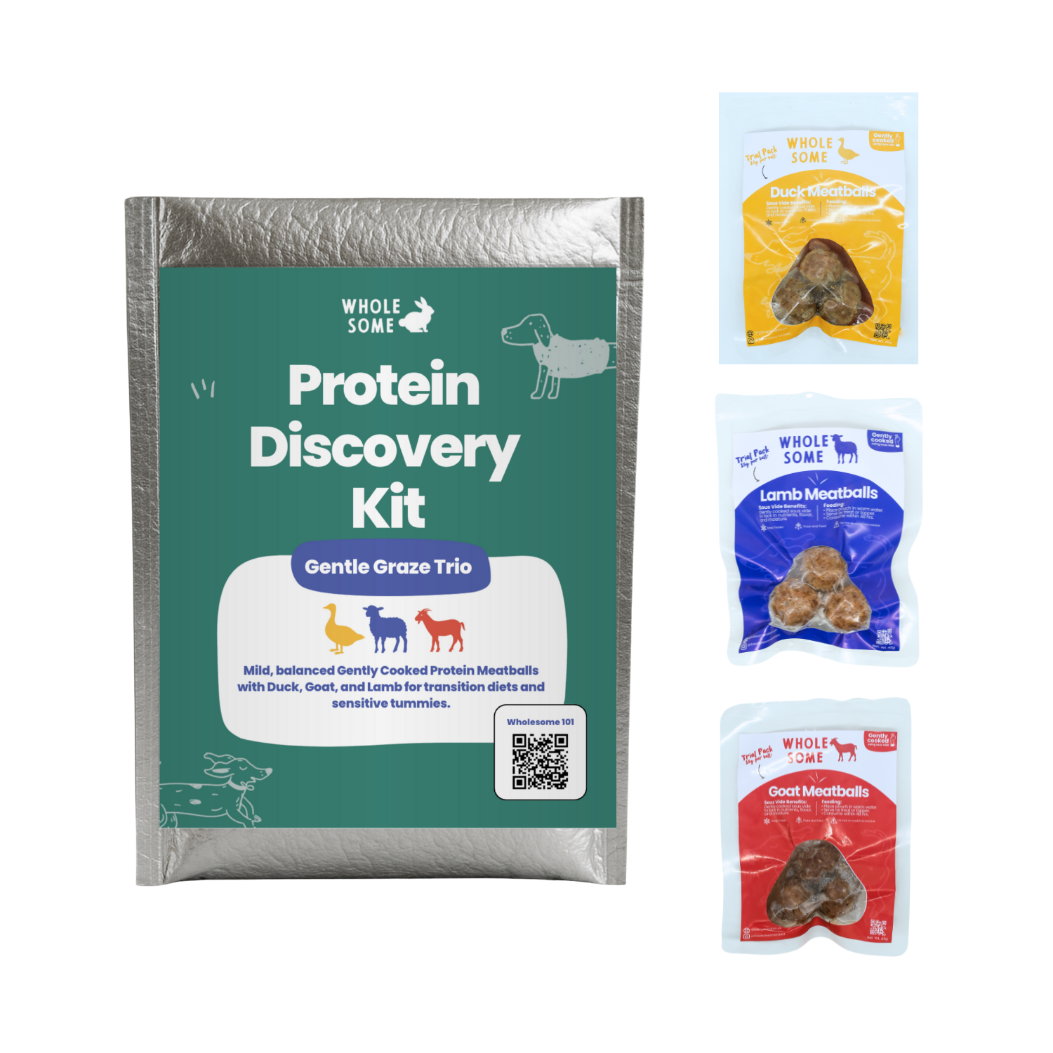 Protein Discovery Kit: Meatballs