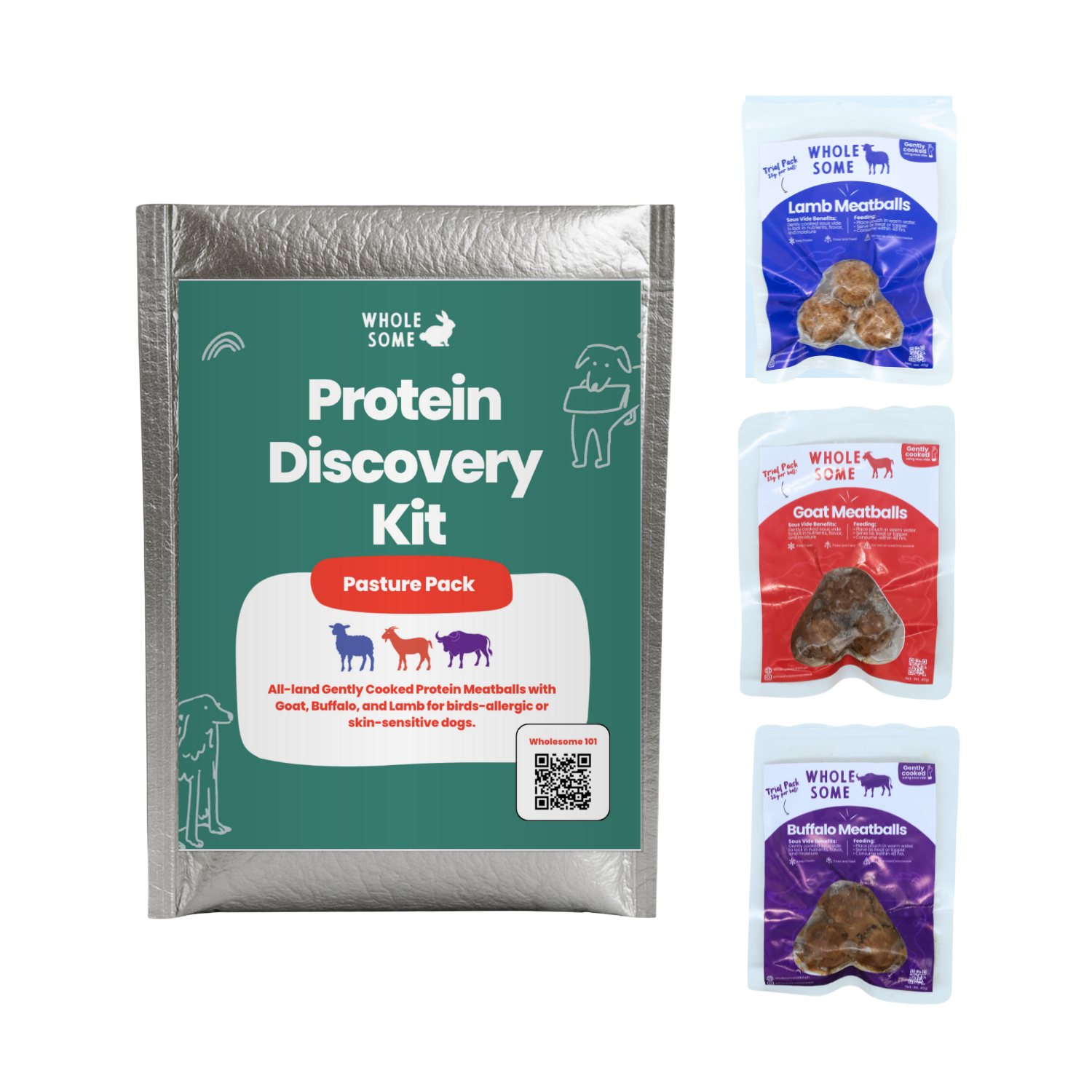 Protein Discovery Kit: Meatballs