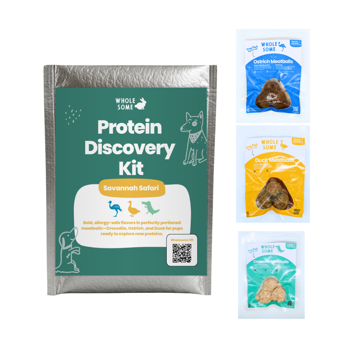 Protein Discovery Kit: Meatballs