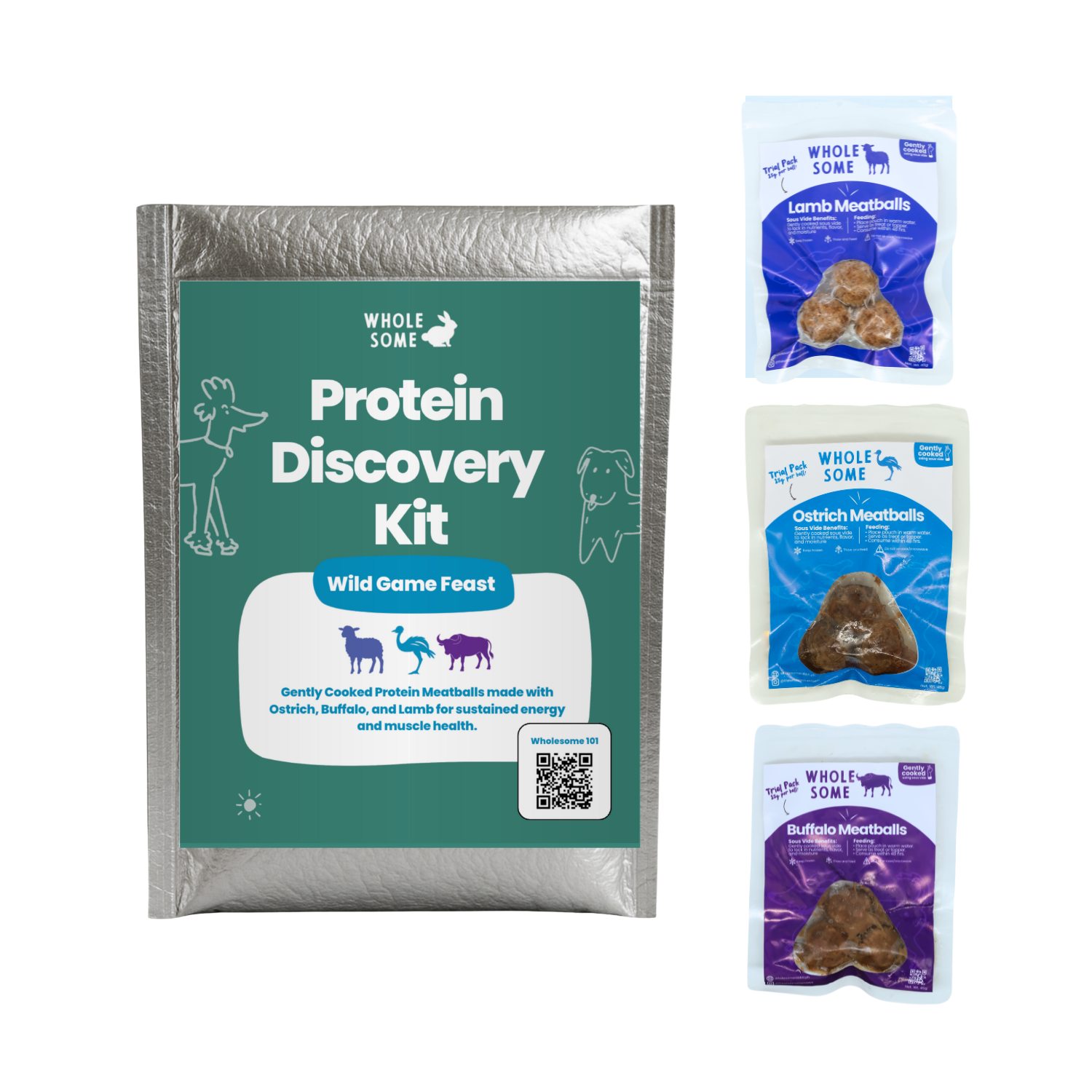 Protein Discovery Kit: Meatballs